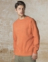 Vintage Fleece Raglan Crewneck Sweatshirt - 17116
