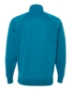 Aster Blue