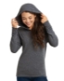 Next Level - Triblend Hooded Long Sleeve Pullover - 6021