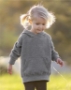 Independent Trading Co. - Toddler Special Blend Hooded Raglan Sweatshirt - PRM10TSB